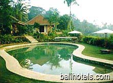 Alam Sari Hotel - swimming pool