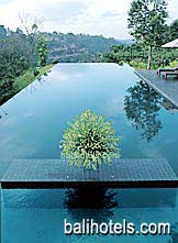 The Alila Ubud Bali - swimming pool